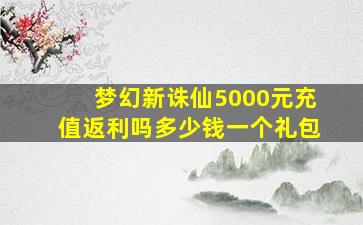 梦幻新诛仙5000元充值返利吗多少钱一个礼包