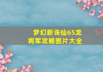 梦幻新诛仙65龙将军攻略图片大全