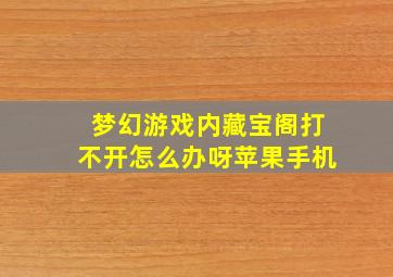 梦幻游戏内藏宝阁打不开怎么办呀苹果手机