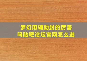 梦幻用辅助封的厉害吗贴吧论坛官网怎么进