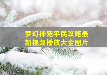 梦幻神宠平民攻略最新视频播放大全图片