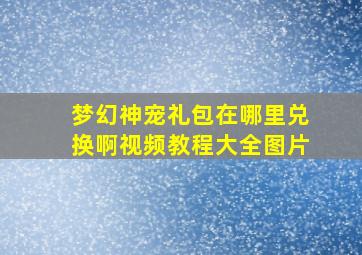 梦幻神宠礼包在哪里兑换啊视频教程大全图片