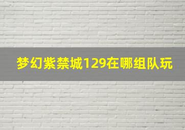 梦幻紫禁城129在哪组队玩