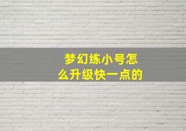 梦幻练小号怎么升级快一点的