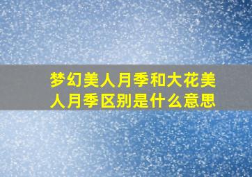 梦幻美人月季和大花美人月季区别是什么意思