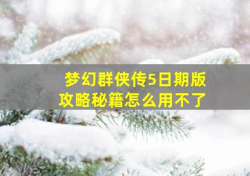 梦幻群侠传5日期版攻略秘籍怎么用不了