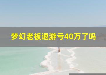 梦幻老板退游亏40万了吗