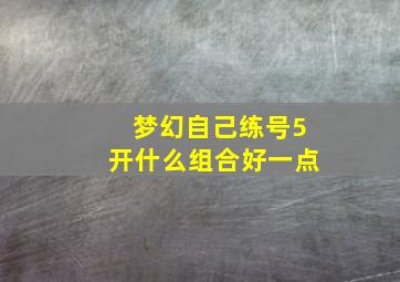 梦幻自己练号5开什么组合好一点