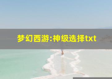 梦幻西游:神级选择txt