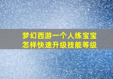 梦幻西游一个人练宝宝怎样快速升级技能等级