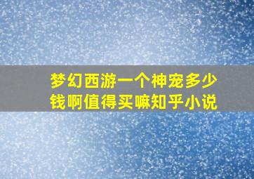 梦幻西游一个神宠多少钱啊值得买嘛知乎小说