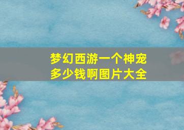 梦幻西游一个神宠多少钱啊图片大全