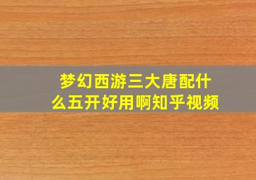 梦幻西游三大唐配什么五开好用啊知乎视频