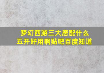 梦幻西游三大唐配什么五开好用啊贴吧百度知道