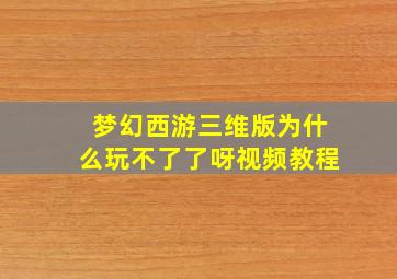 梦幻西游三维版为什么玩不了了呀视频教程