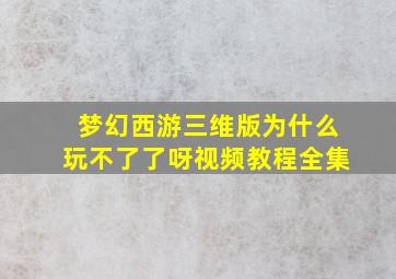 梦幻西游三维版为什么玩不了了呀视频教程全集