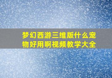 梦幻西游三维版什么宠物好用啊视频教学大全