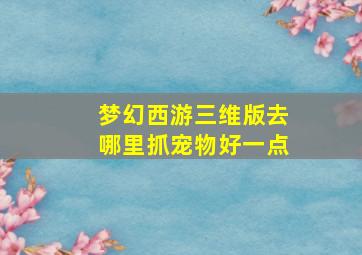 梦幻西游三维版去哪里抓宠物好一点