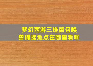 梦幻西游三维版召唤兽捕捉地点在哪里看啊