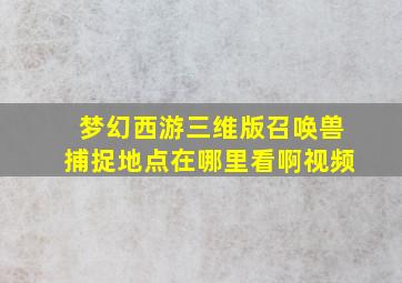 梦幻西游三维版召唤兽捕捉地点在哪里看啊视频