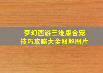 梦幻西游三维版合宠技巧攻略大全图解图片