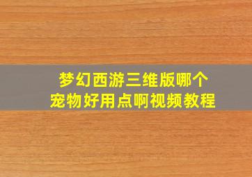 梦幻西游三维版哪个宠物好用点啊视频教程