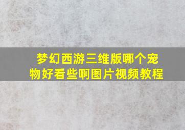 梦幻西游三维版哪个宠物好看些啊图片视频教程