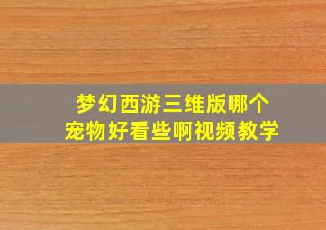 梦幻西游三维版哪个宠物好看些啊视频教学