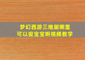 梦幻西游三维版哪里可以捉宝宝啊视频教学