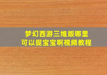 梦幻西游三维版哪里可以捉宝宝啊视频教程