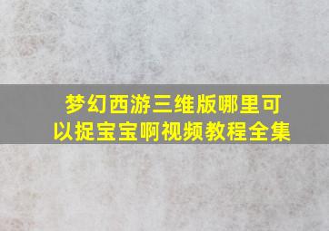 梦幻西游三维版哪里可以捉宝宝啊视频教程全集