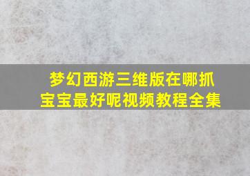 梦幻西游三维版在哪抓宝宝最好呢视频教程全集