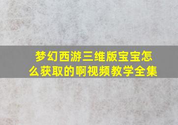 梦幻西游三维版宝宝怎么获取的啊视频教学全集