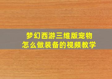 梦幻西游三维版宠物怎么做装备的视频教学