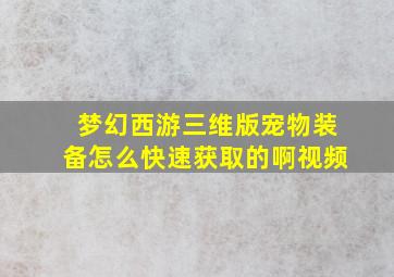 梦幻西游三维版宠物装备怎么快速获取的啊视频