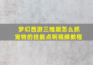 梦幻西游三维版怎么抓宠物的技能点啊视频教程