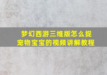 梦幻西游三维版怎么捉宠物宝宝的视频讲解教程