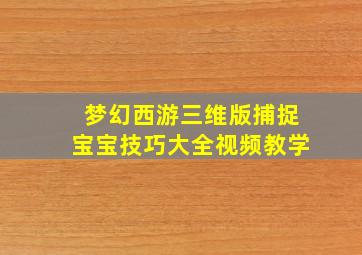 梦幻西游三维版捕捉宝宝技巧大全视频教学