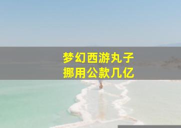 梦幻西游丸子挪用公款几亿