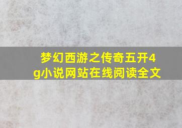 梦幻西游之传奇五开4g小说网站在线阅读全文