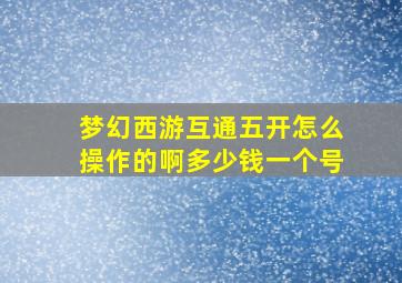 梦幻西游互通五开怎么操作的啊多少钱一个号