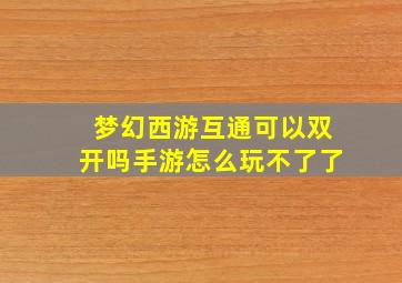 梦幻西游互通可以双开吗手游怎么玩不了了