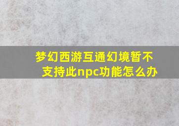 梦幻西游互通幻境暂不支持此npc功能怎么办