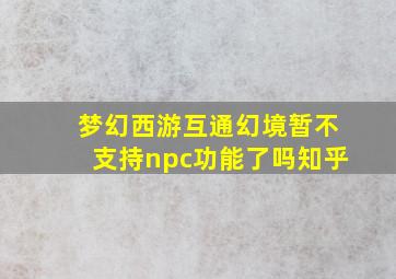 梦幻西游互通幻境暂不支持npc功能了吗知乎