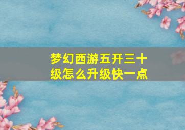 梦幻西游五开三十级怎么升级快一点