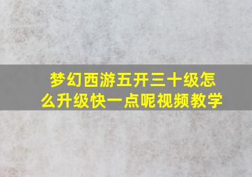 梦幻西游五开三十级怎么升级快一点呢视频教学