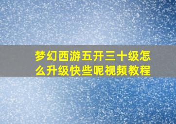 梦幻西游五开三十级怎么升级快些呢视频教程