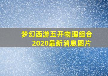 梦幻西游五开物理组合2020最新消息图片