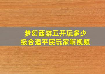 梦幻西游五开玩多少级合适平民玩家啊视频