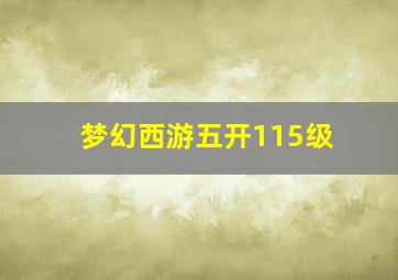 梦幻西游五开115级